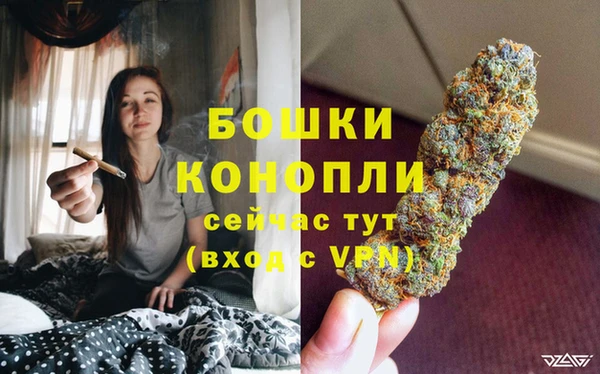 мдпв Аша