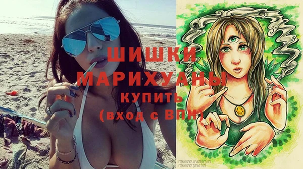 МДПВ Дмитровск
