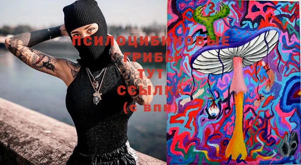 героин Дмитриев
