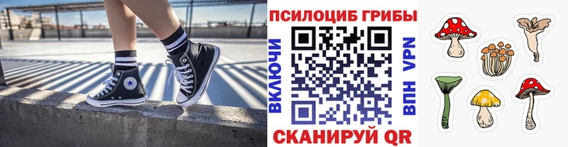 Галлюциногенные грибы ЛСД  Изобильный 
