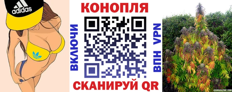 хочу наркоту  Изобильный  Канабис марихуана 